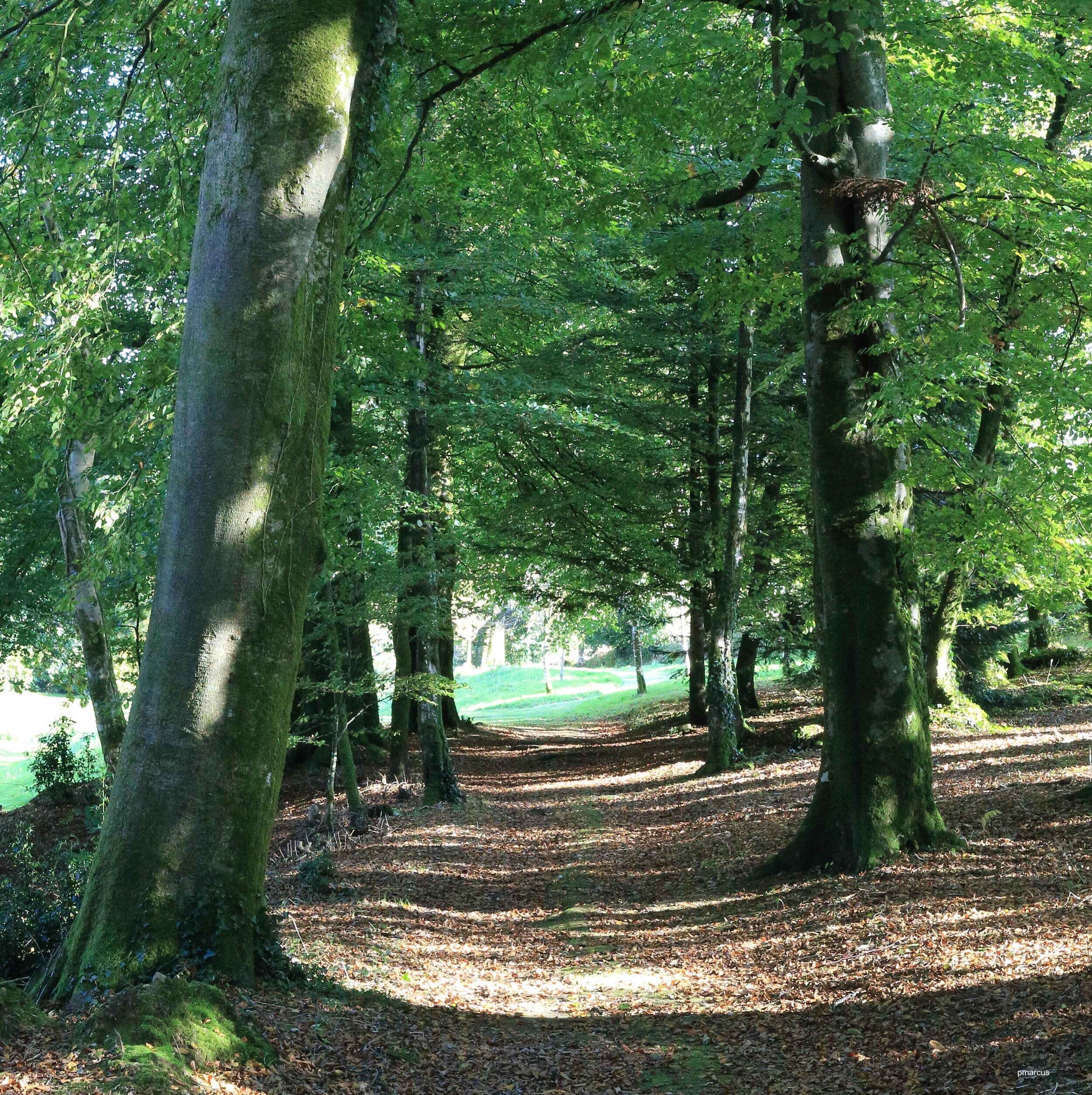 taken by Paul Marcus 2015