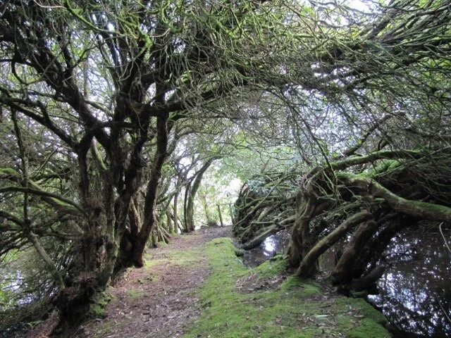The middle dam 30 March 2013