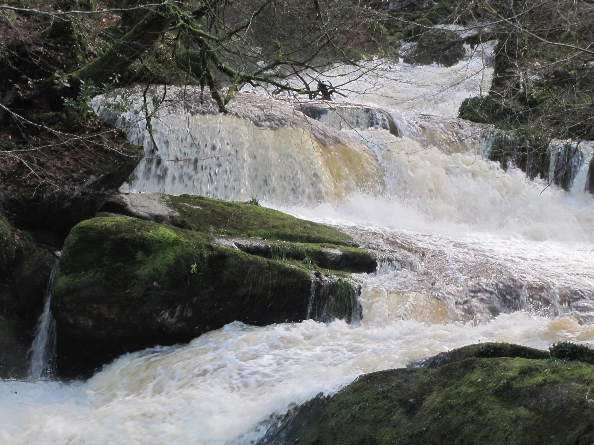 Cascades 3 January 2012