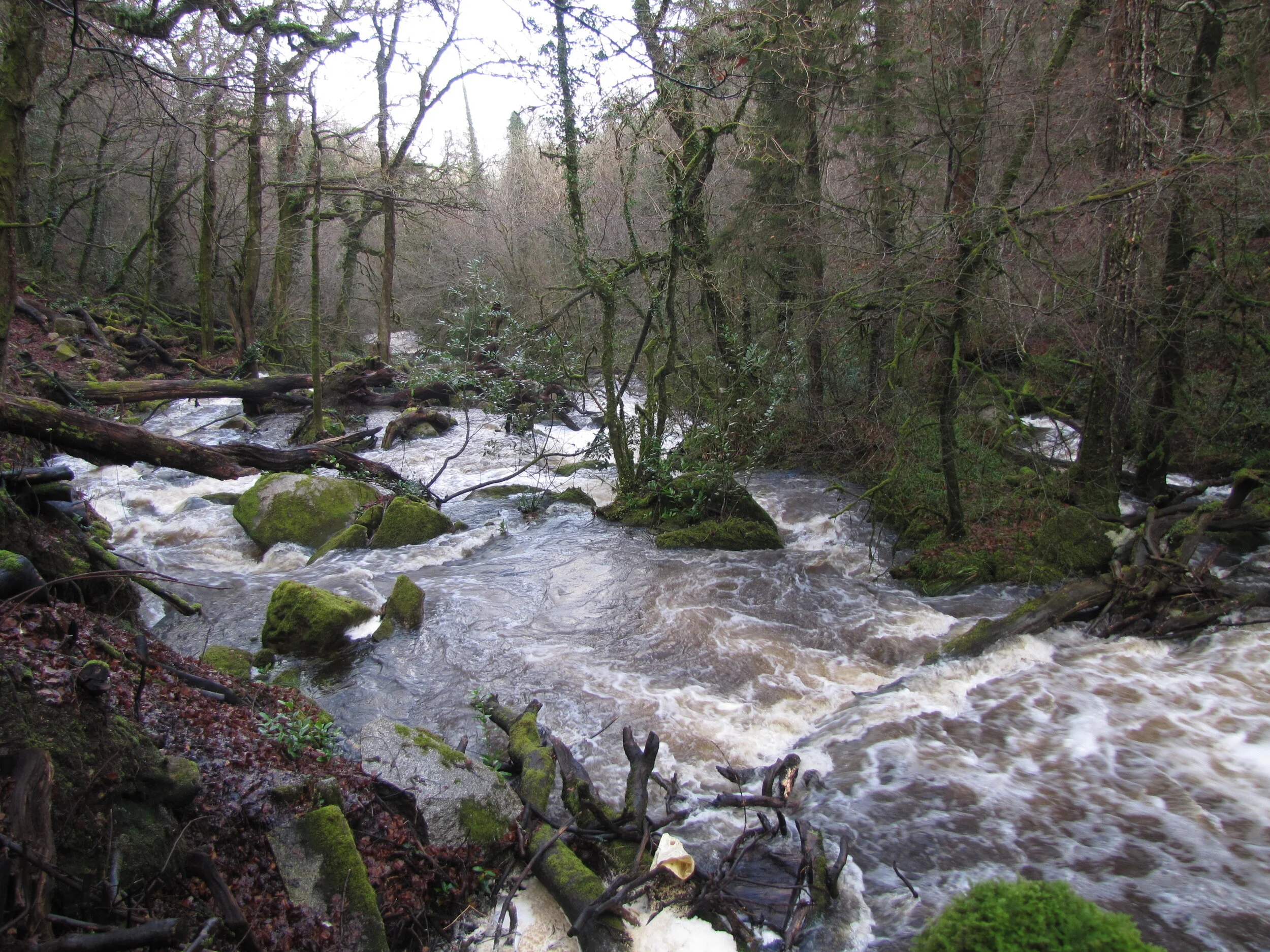 Withey Brook in flood 3 January 2012