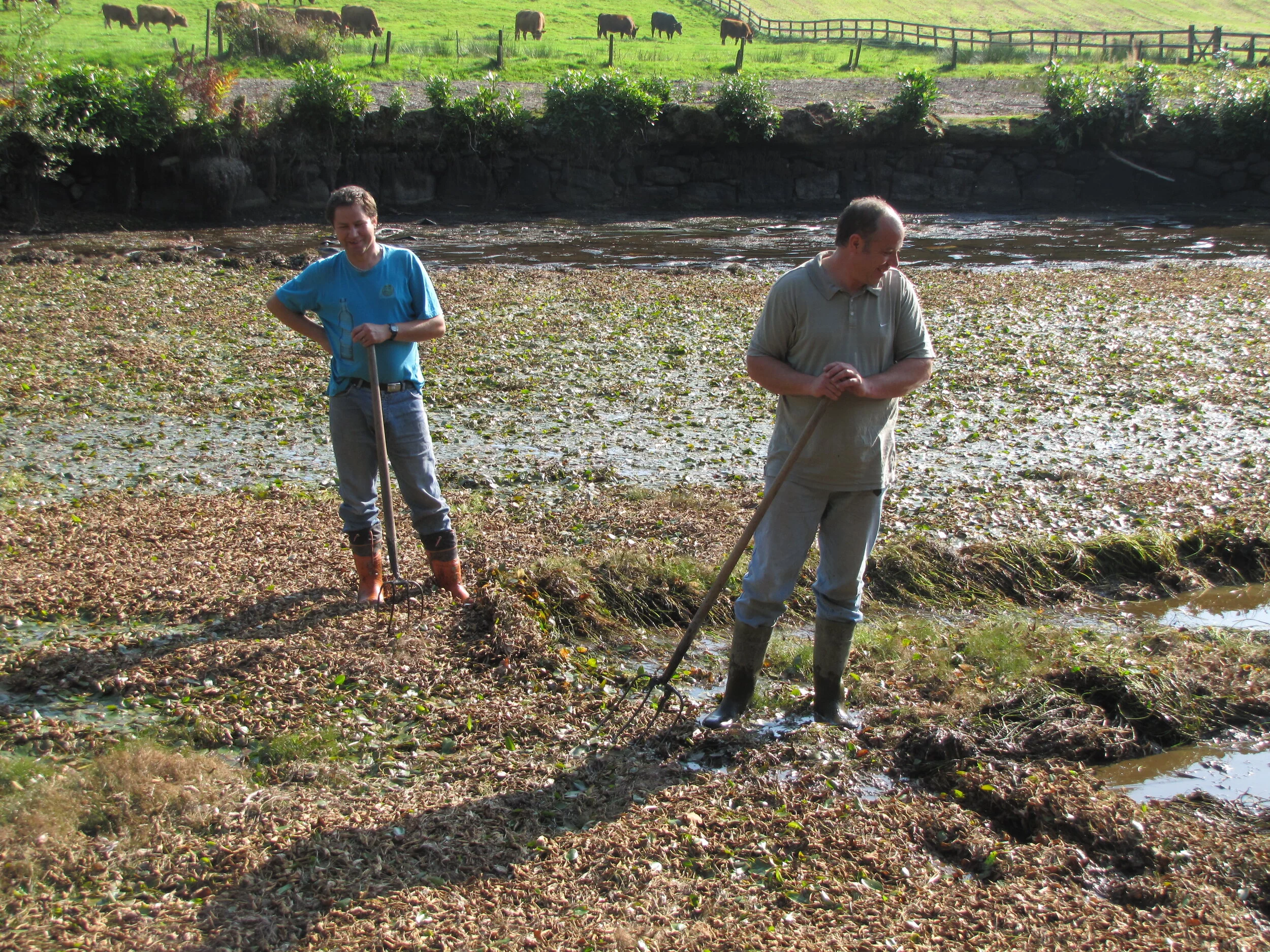 Martin and Julian clearing pondweed October 2011 