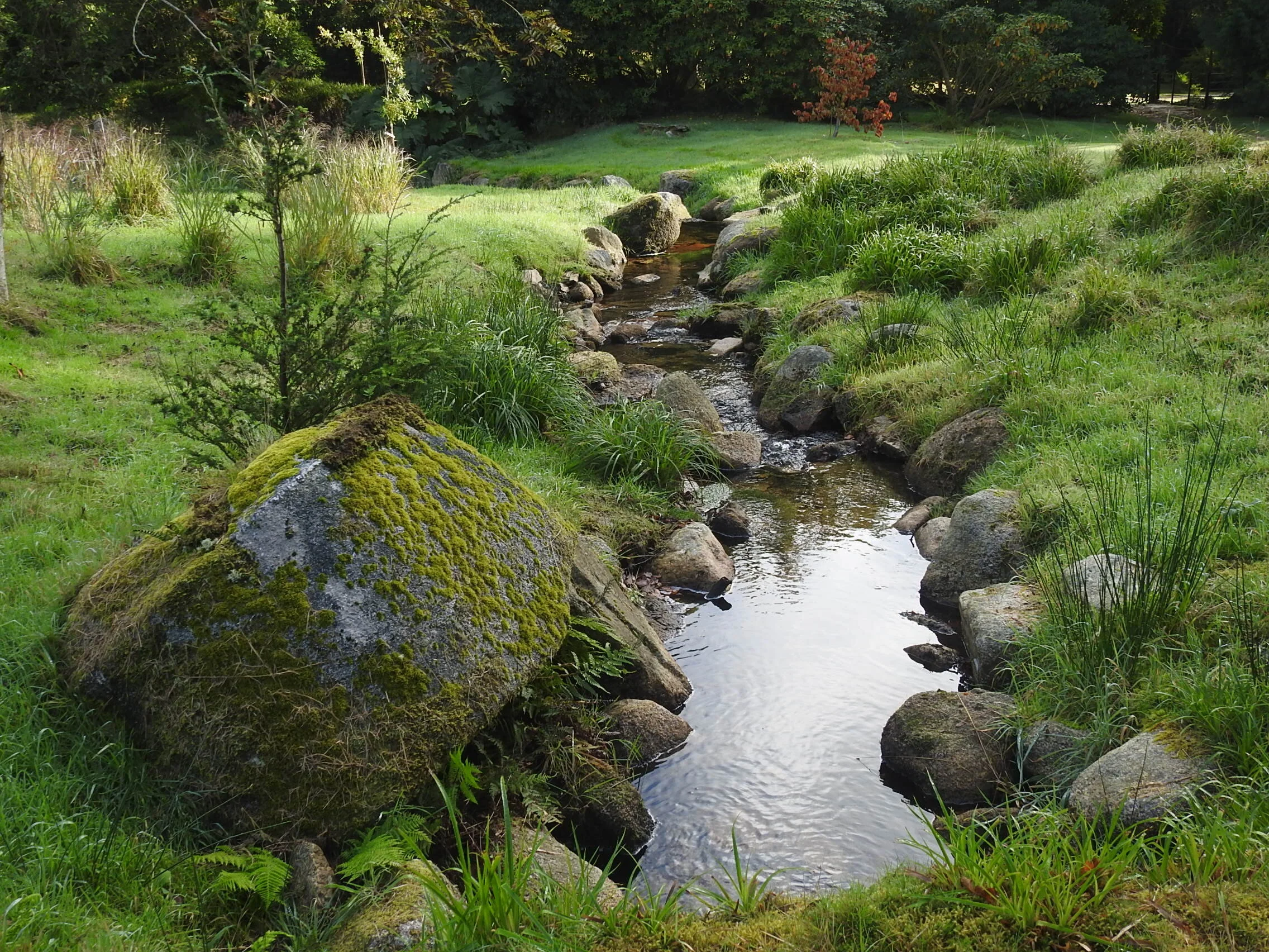American Garden stream 15 October 2020
