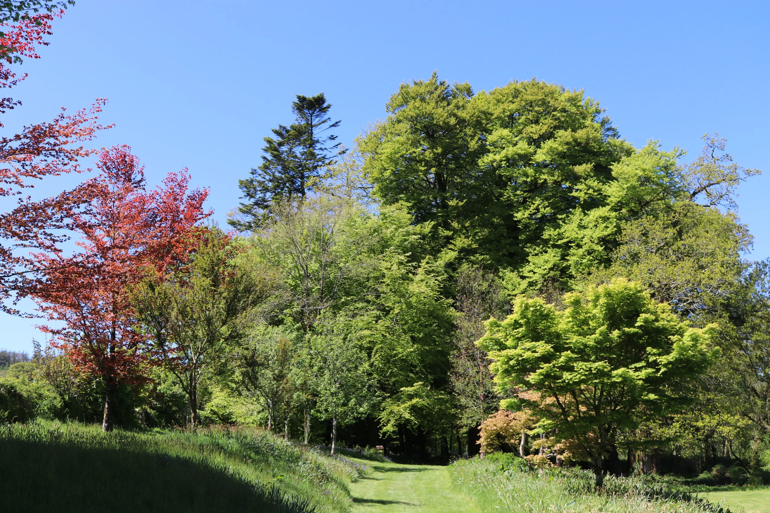 Banks beside the lower pond 16 May 2018