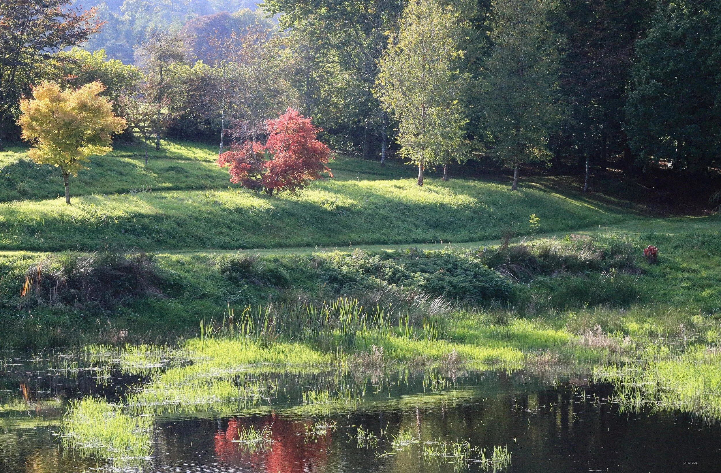 taken by Paul Marcus 2015