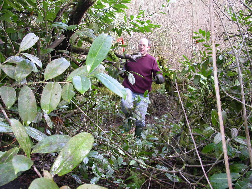 Robert 28 December 2003