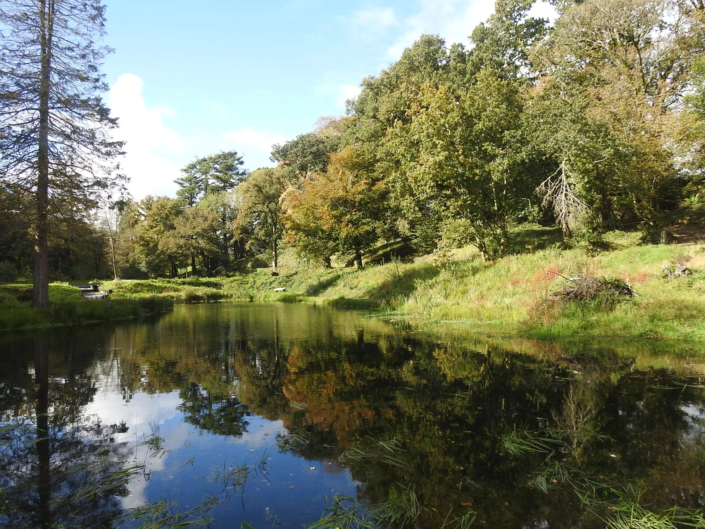 Middle pond 11 October 2020