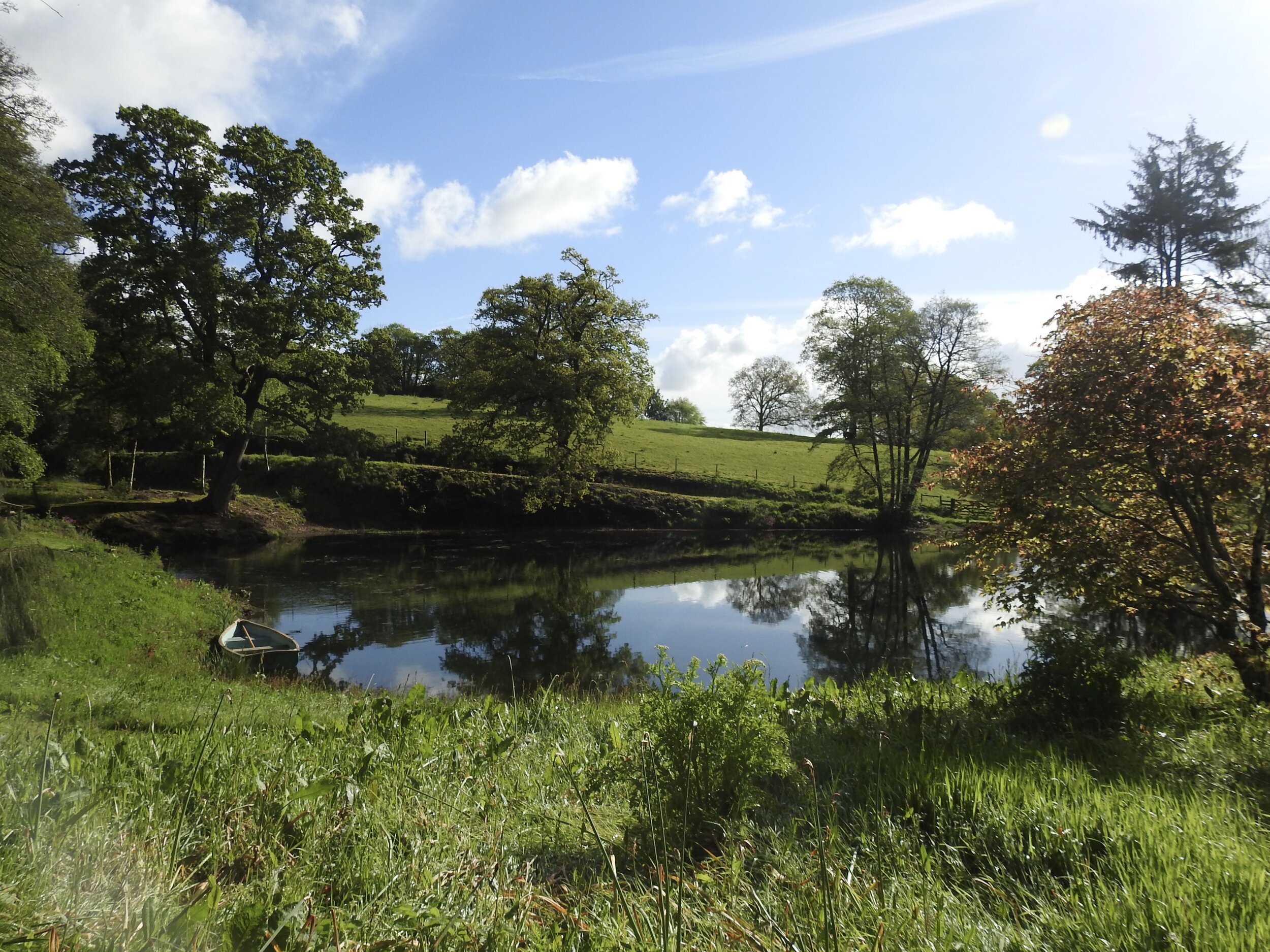 Lower pond, and Donkey Field beyond 18 May 2017