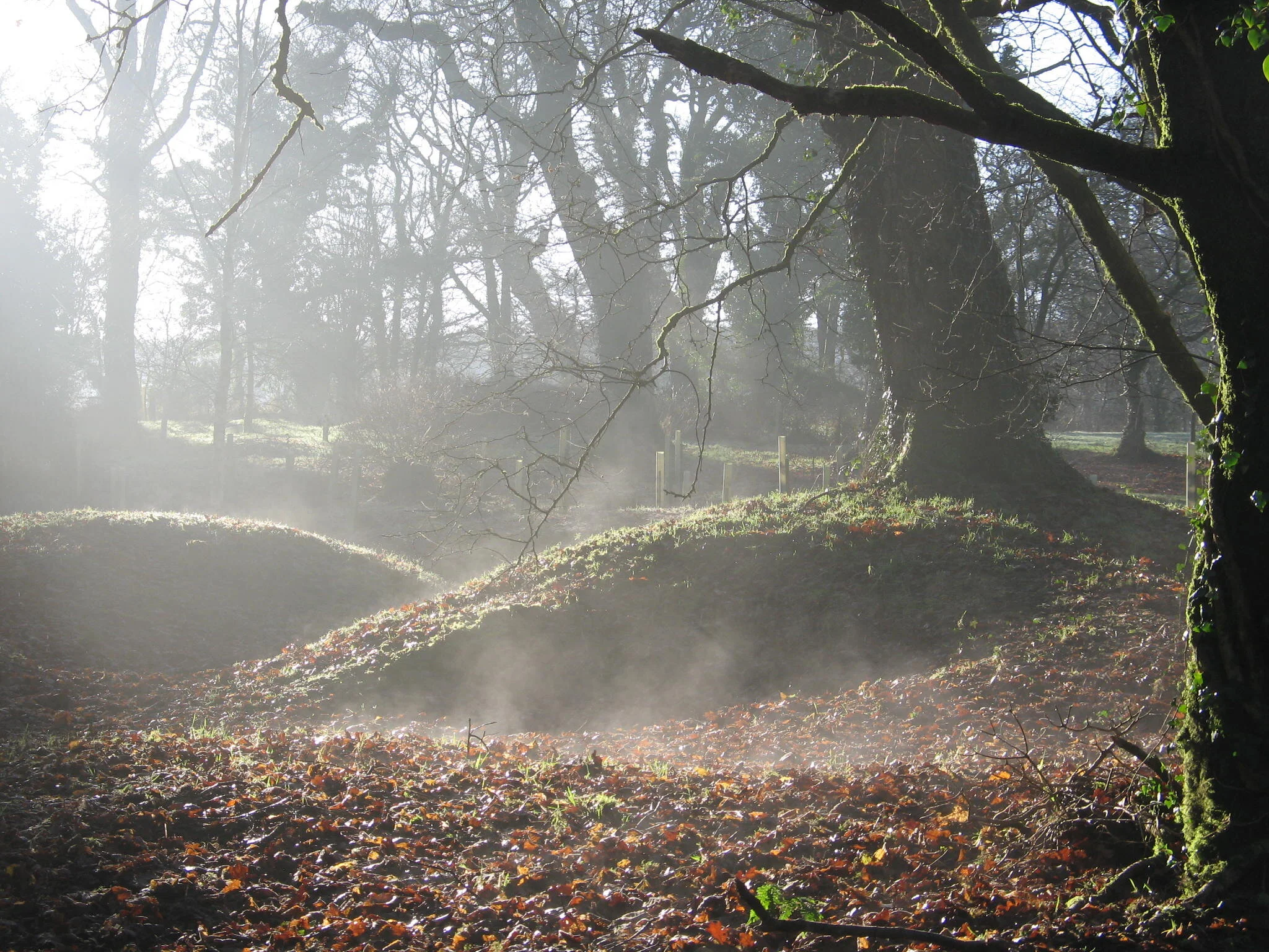 Remains of old mining spoil heaps 23 December 2007