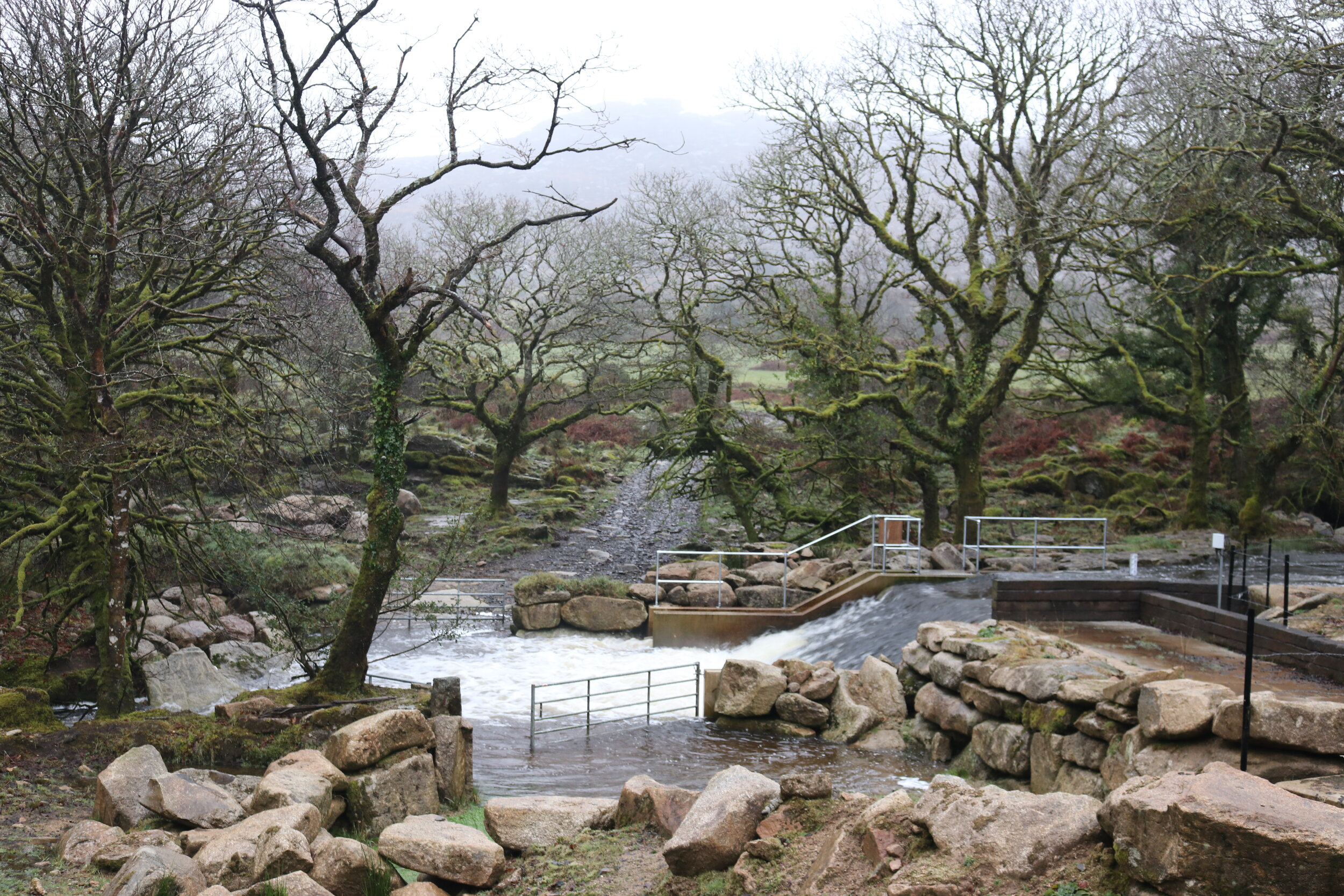 The intake area 2018