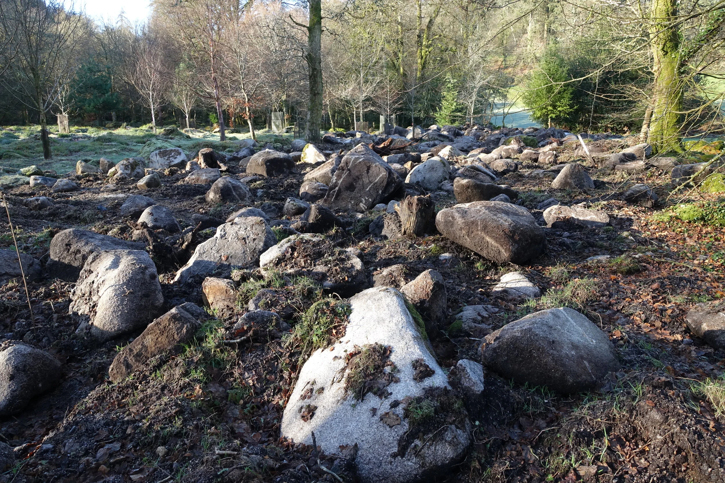 The ‘river of stone’ where the pipeline goes through the plantation  January 2015