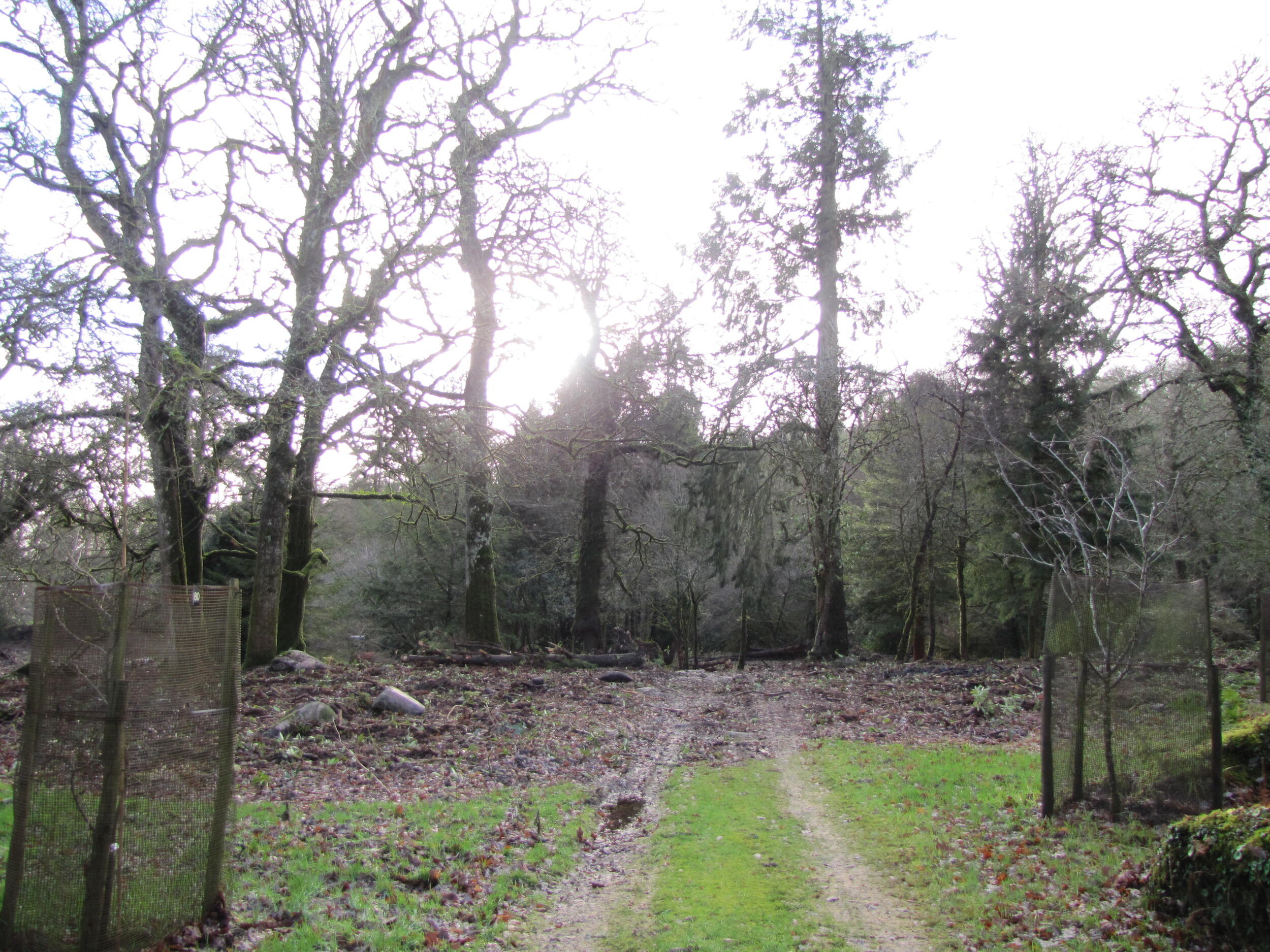 December 2013 - before the pipeline is laid