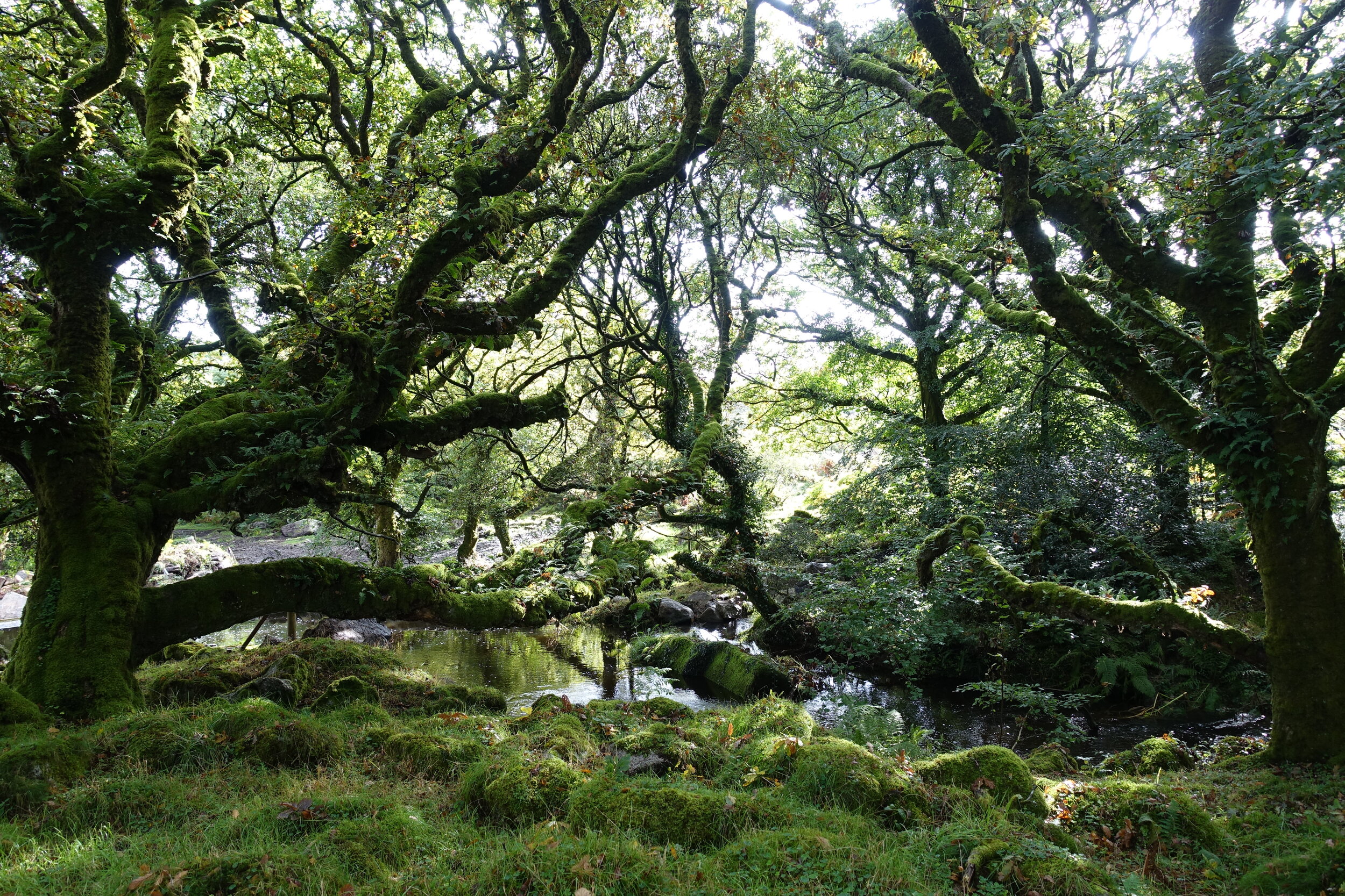 Above the intake 10 September 2016