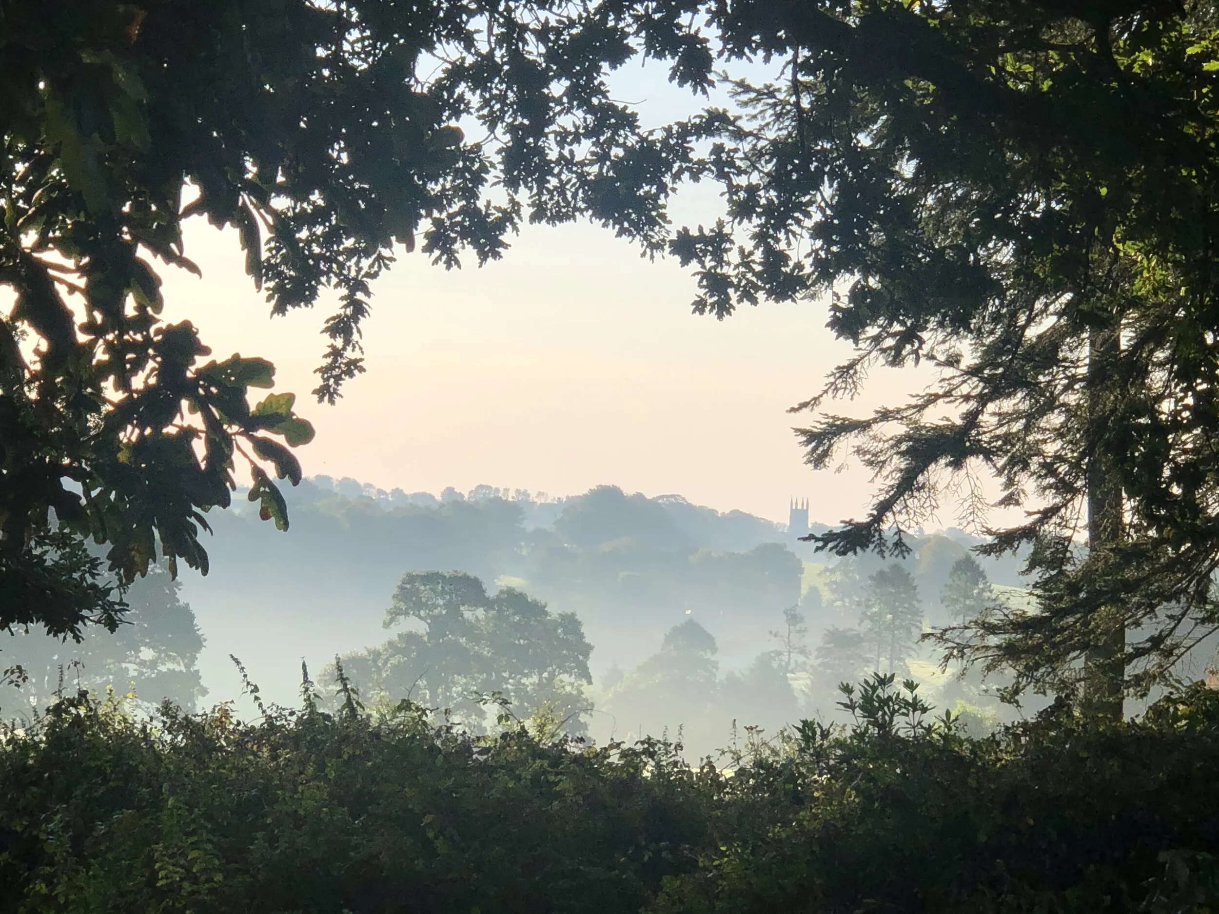 Taken by Jolyon 2020