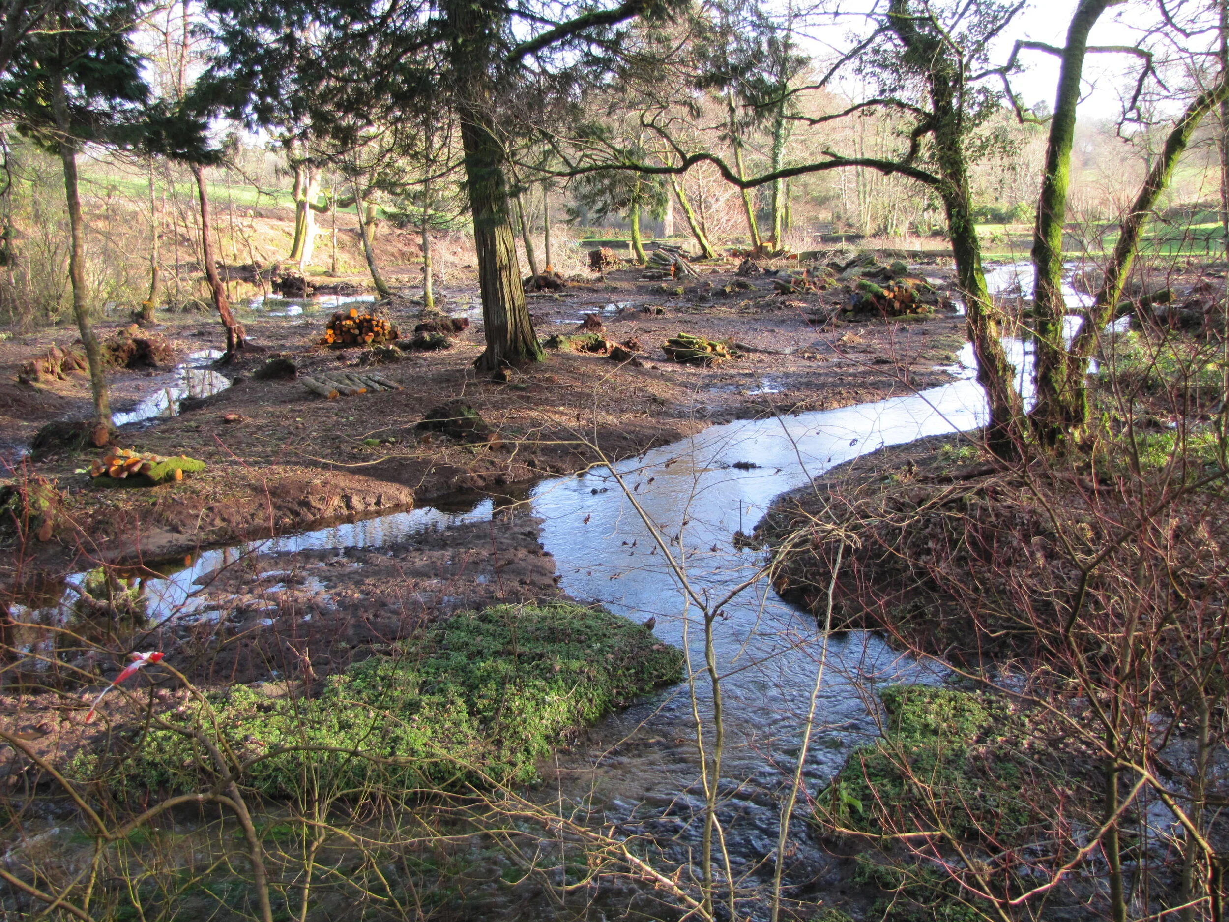 Middle pond and island 27 December 2013