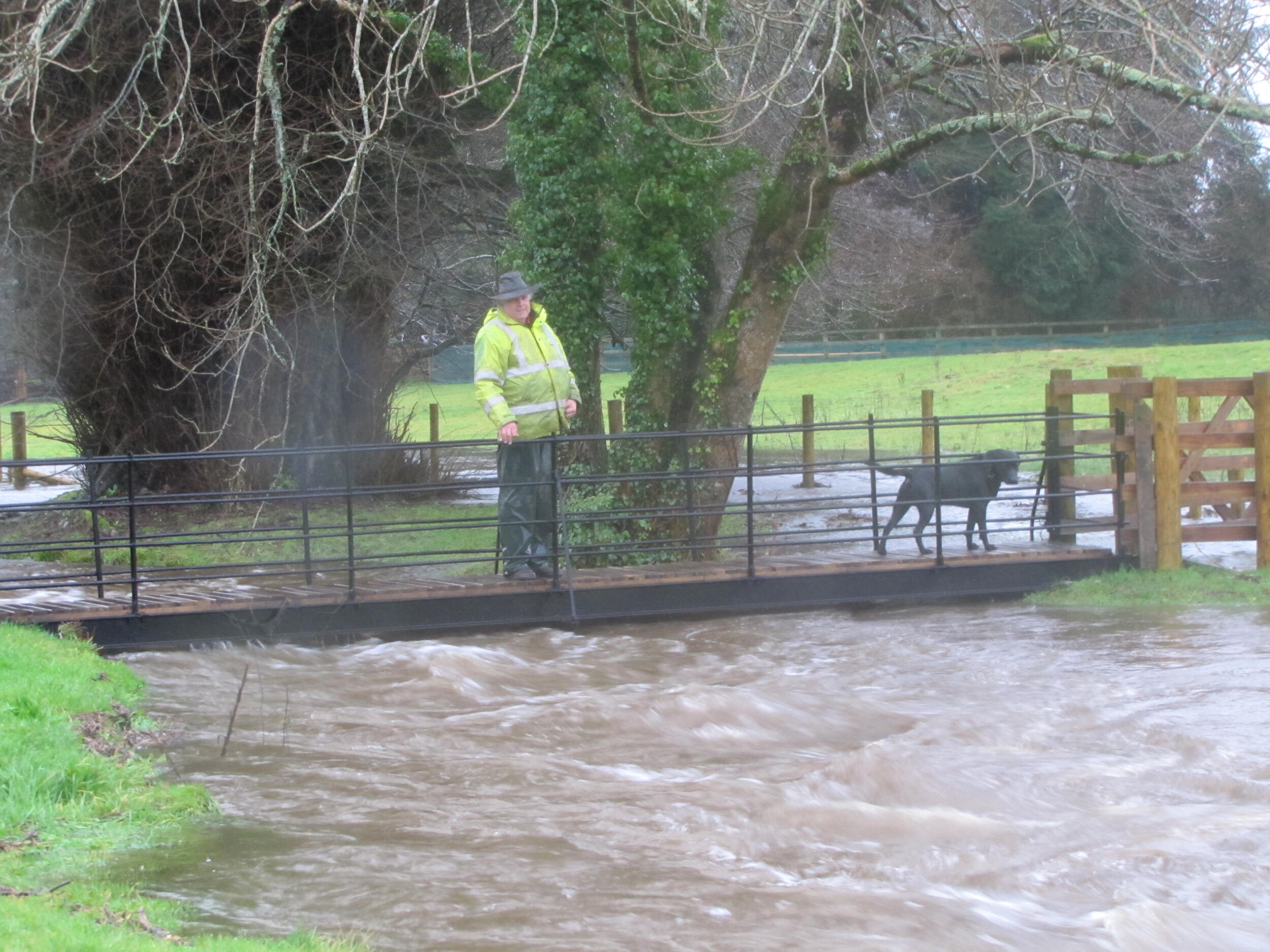 Brian Luxton on Ladies Mile footbridge 22 December 2012