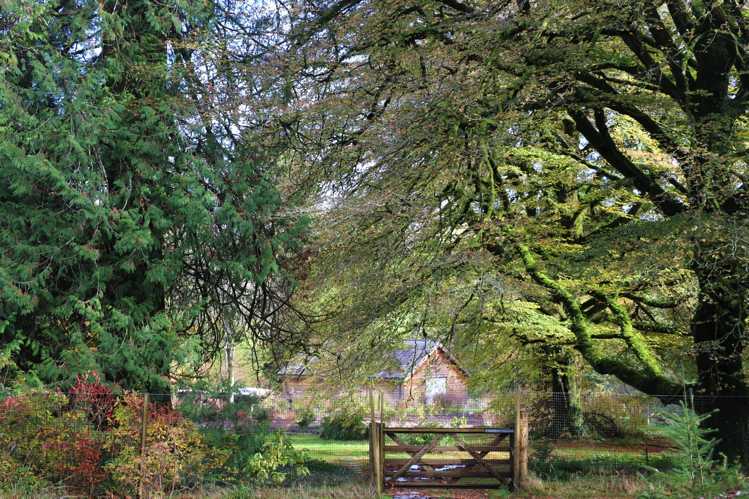 View through the deer fence towards the turbine house 31 October 2020