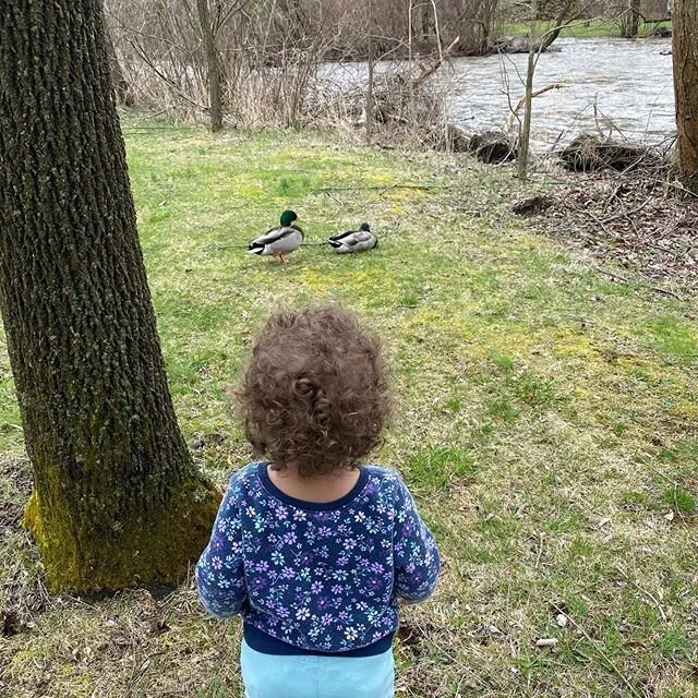 Ducky is our new favorite word. #backyardfriends ...Wait till she meets the chickens...