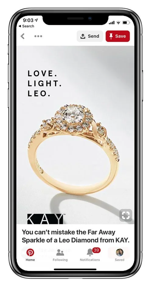 Leo_pin.webp