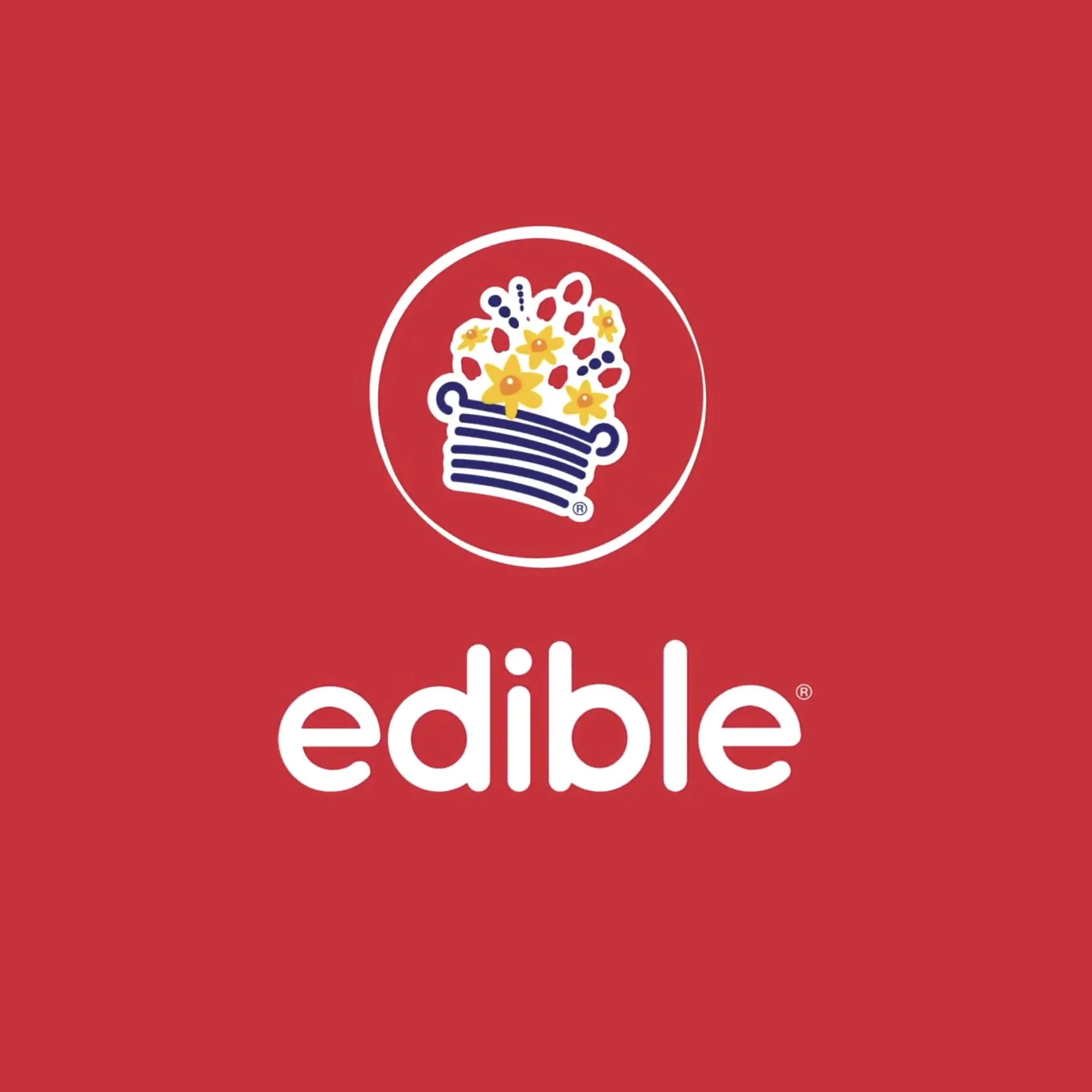 edible cover copy.jpg