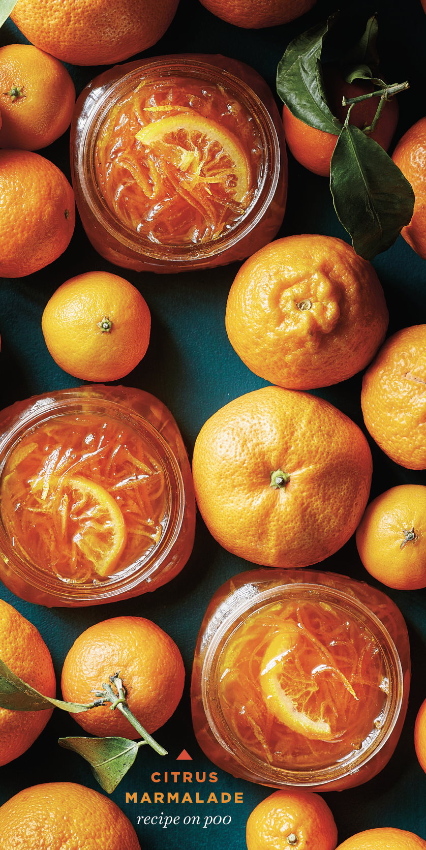 Screenshot 2025-12-24 at 3.02.01 PM.png