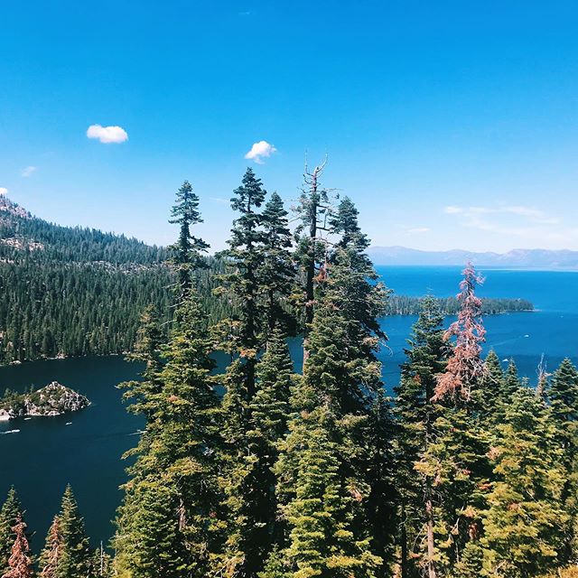 Finally getting around to posting about our amazing trip to Lake Tahoe 🏞 First of many future Burns Family Trips 💙