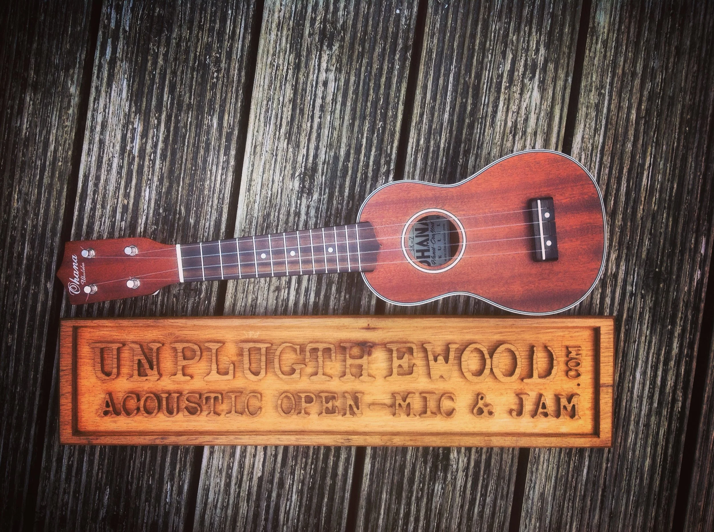 UNPLUGTHEWOOD at the Astolat Guildford