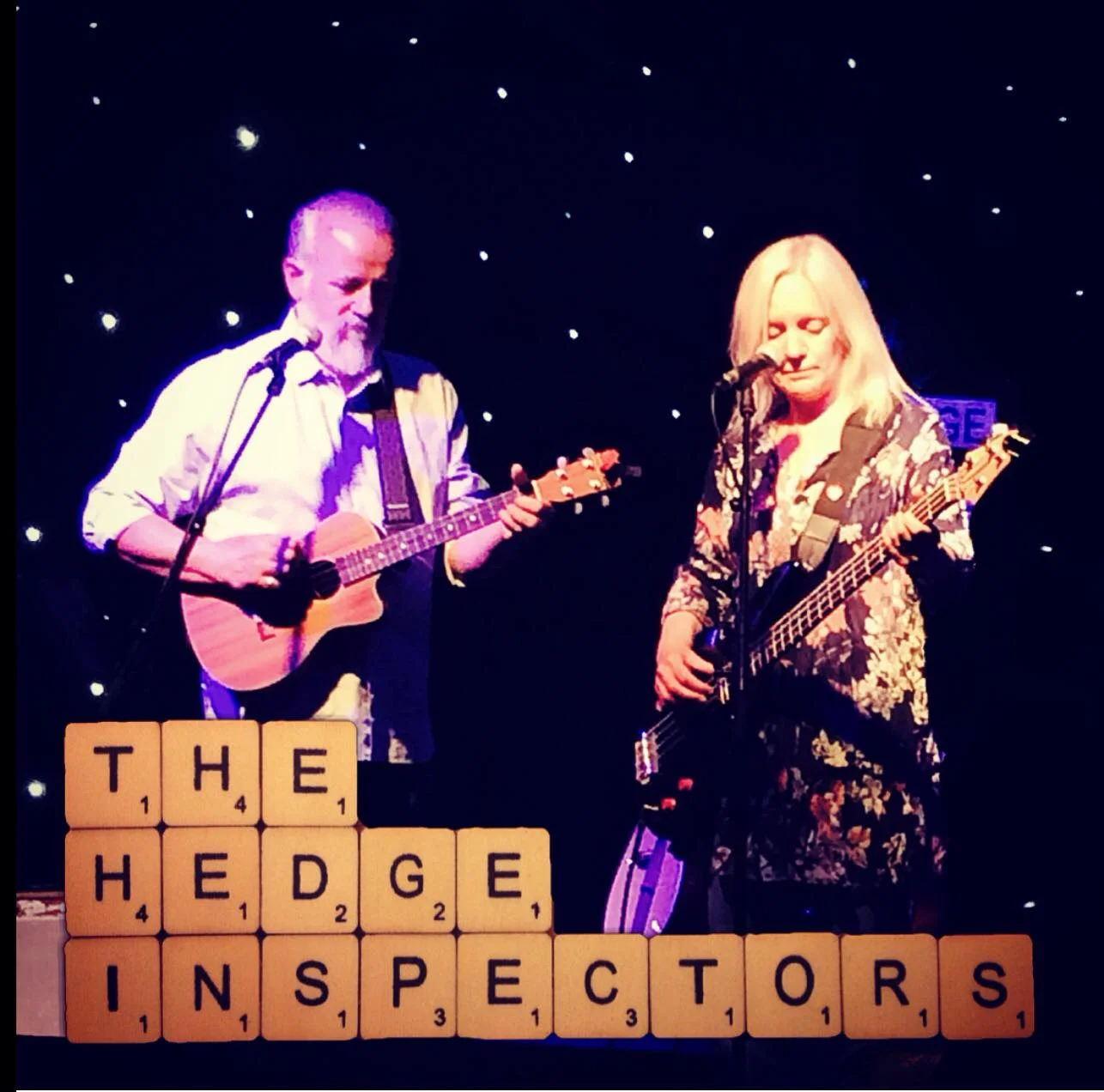 The Hedge Inspectors - D3W3- Alton Rugby Club