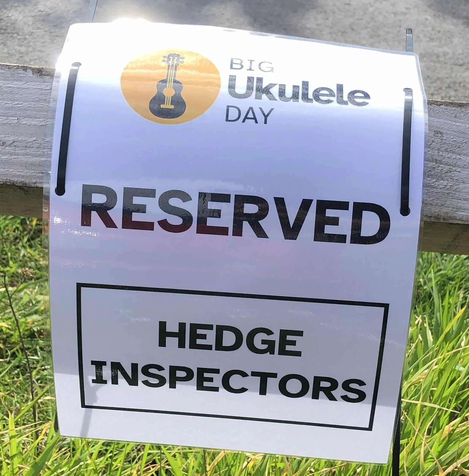 The Hedge Inspectors - Big Ukulele Day Benson Oxfordshire 