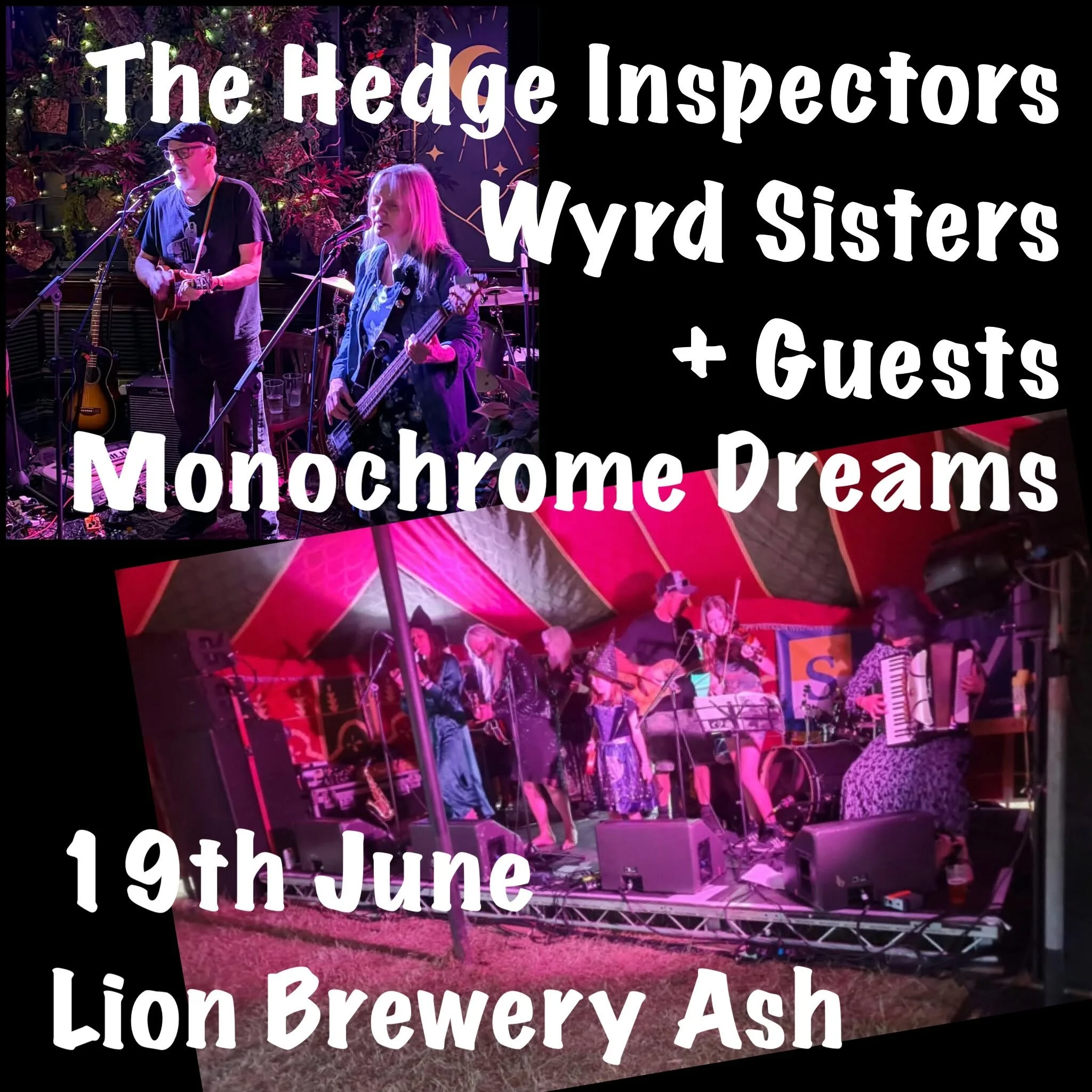 Hedge Inspectors 8pm Lion Brewery Ash 3 band showcase 