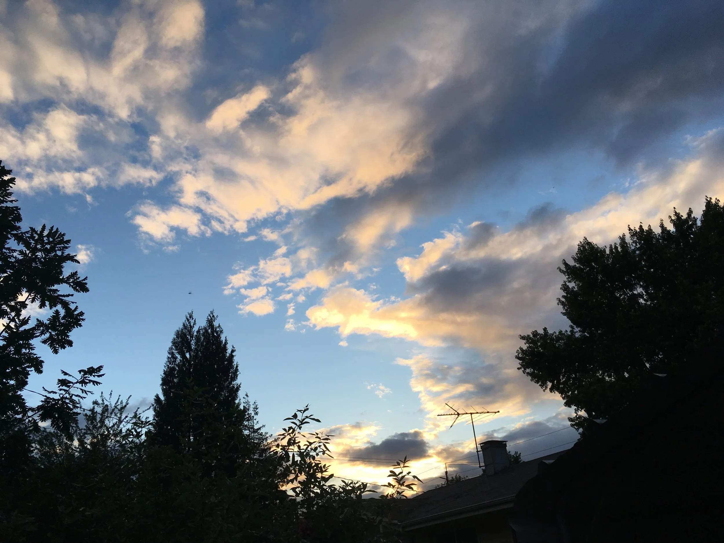 till it falls away...