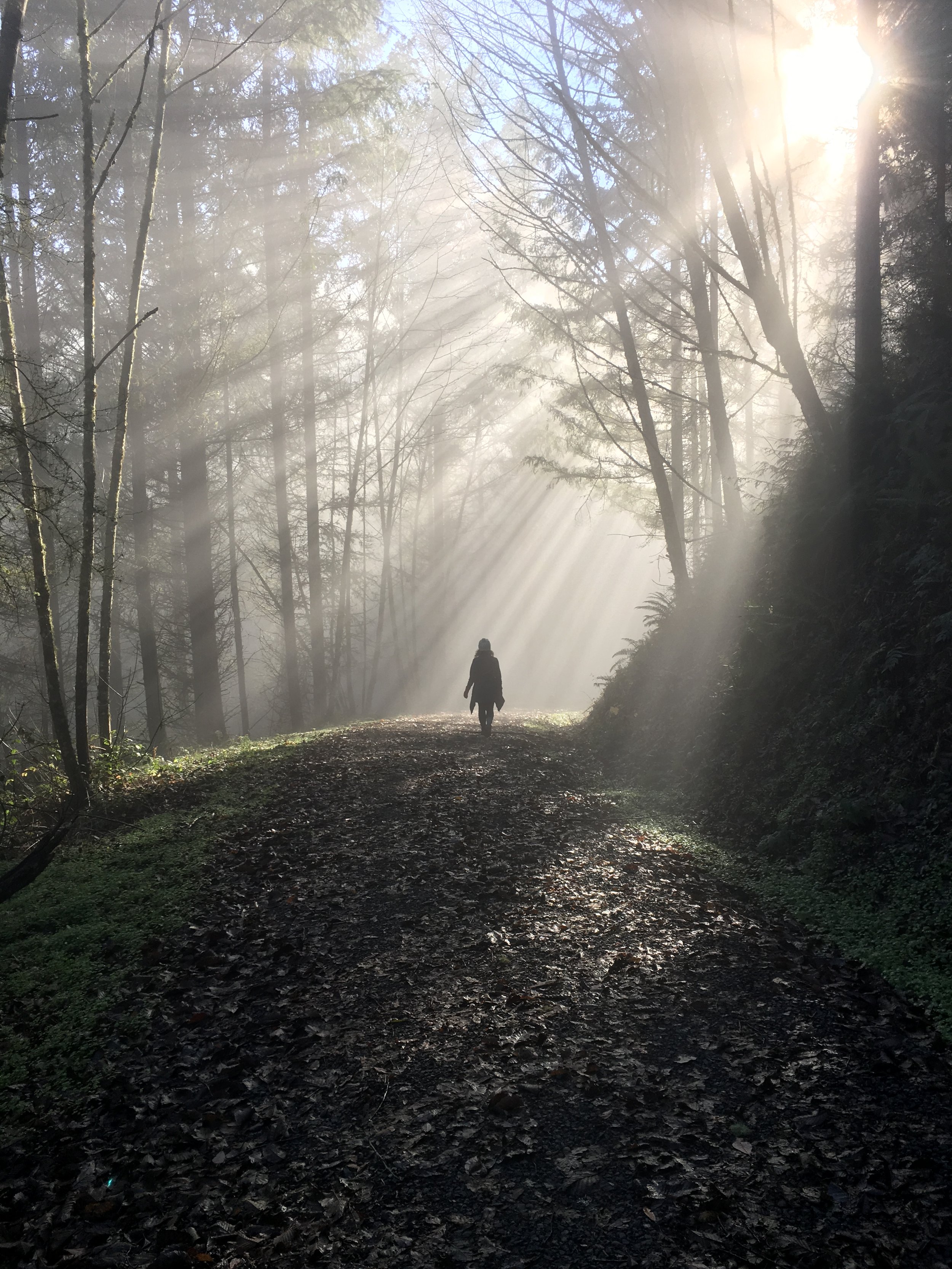 more energy than matter part 2