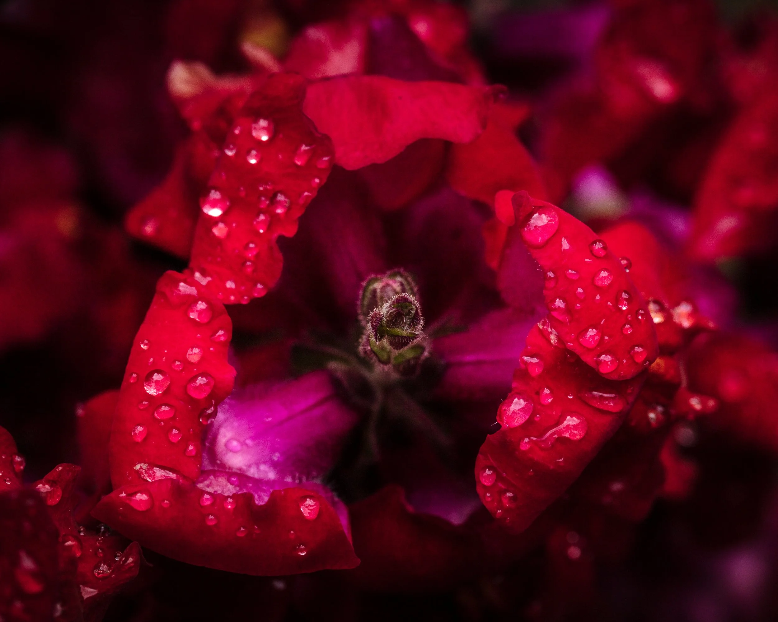 ENLIVENING THE PELVIS