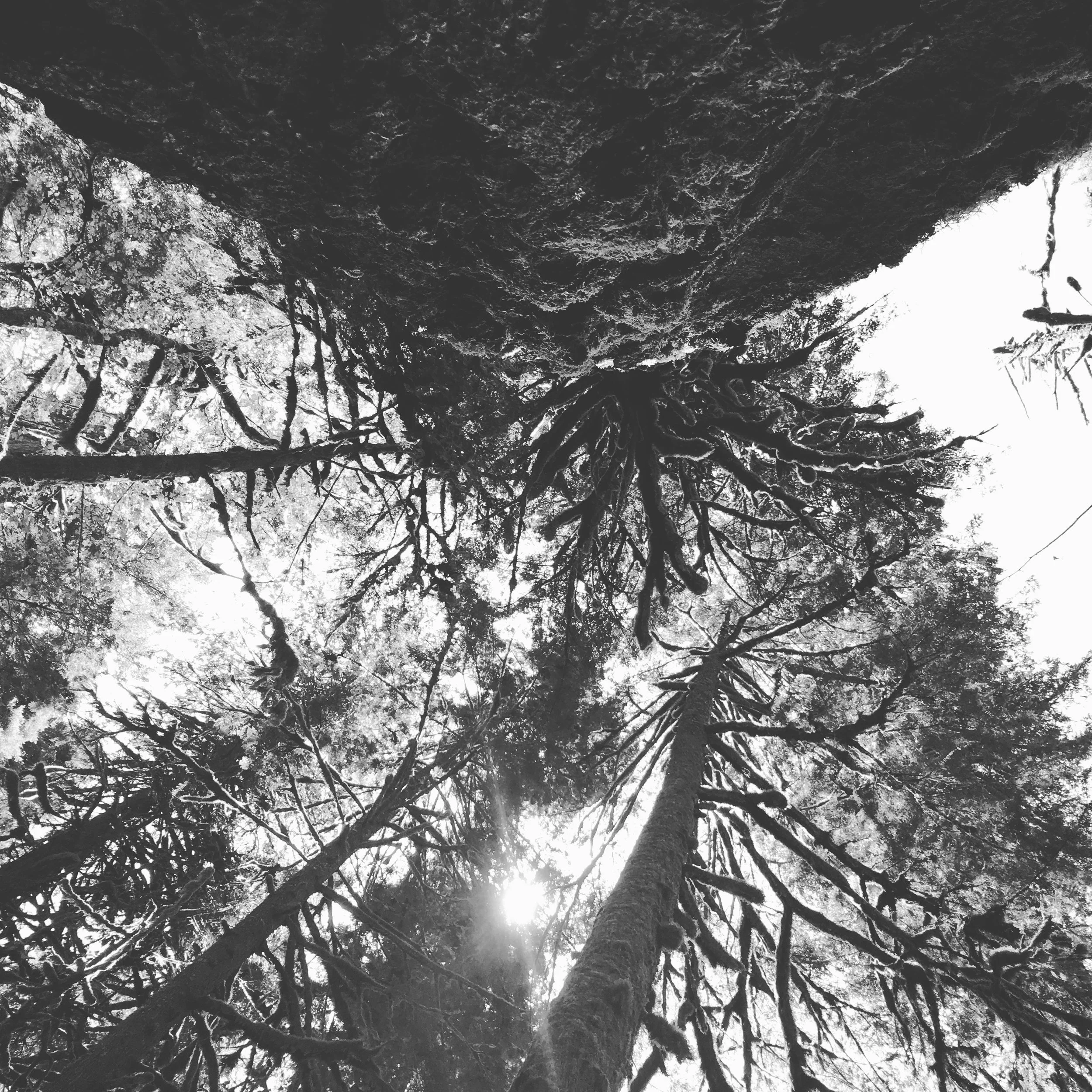 Grounded Essence mini workshop