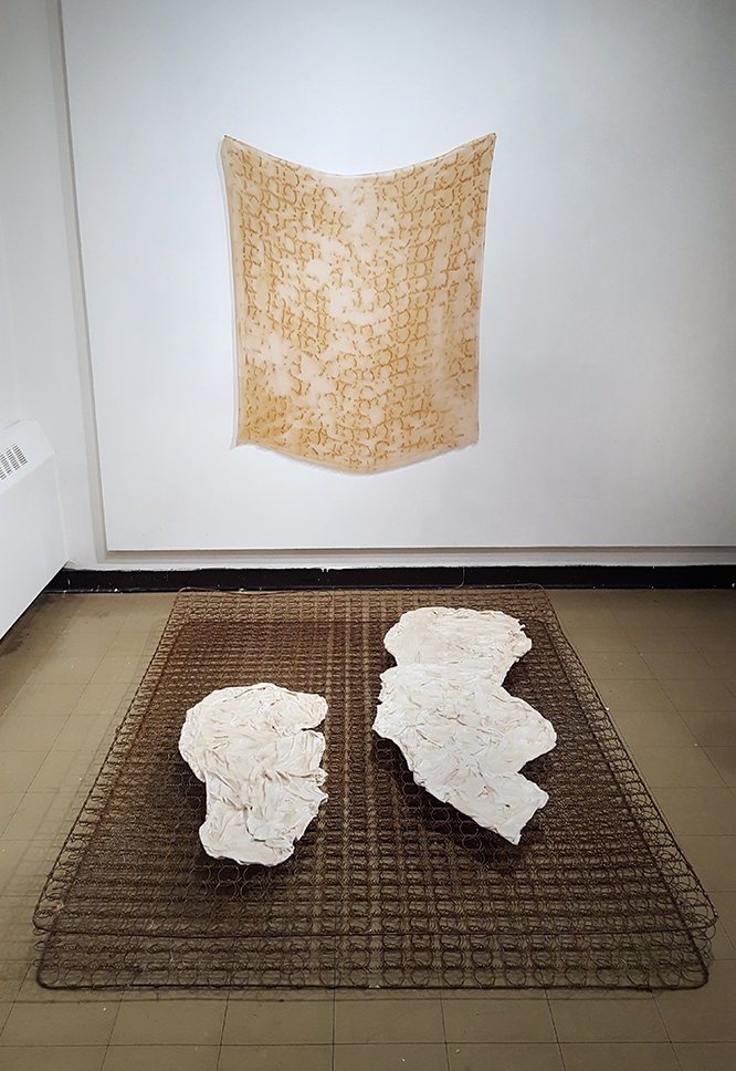 Copy of Laxalt, Michelle %22Vessel%22 and %22Spring Space%22 (Installation at Arts Exchange in Atlanta) Box Spring, Fabric, Slip, Wax, Rust on Silk_Dimensions Variable_2016.jpg