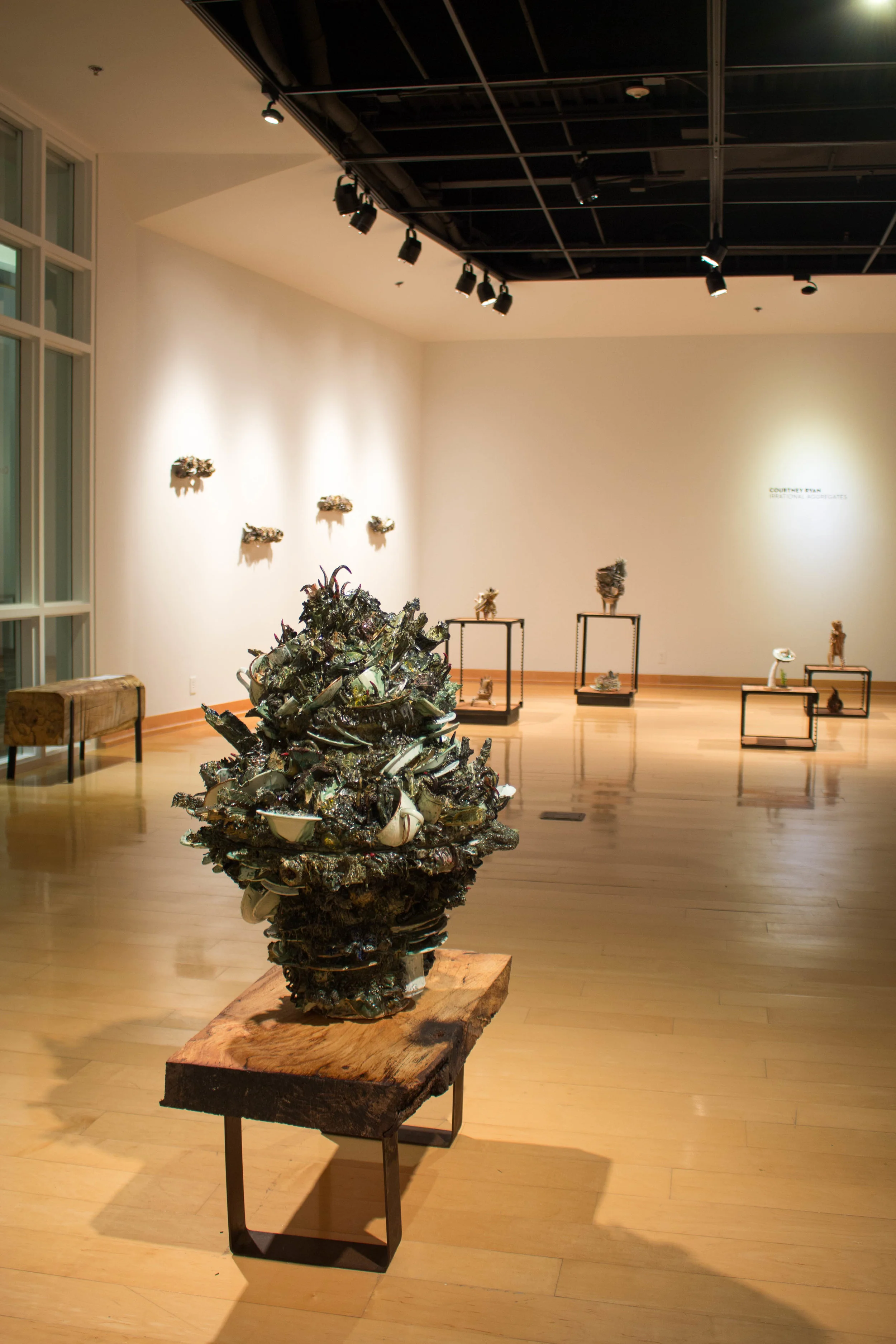 Courtney N. Ryan-Irrational Aggregates, Thesis Exhibition 9.jpg