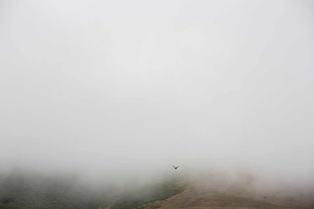 _V7A5225.jpg