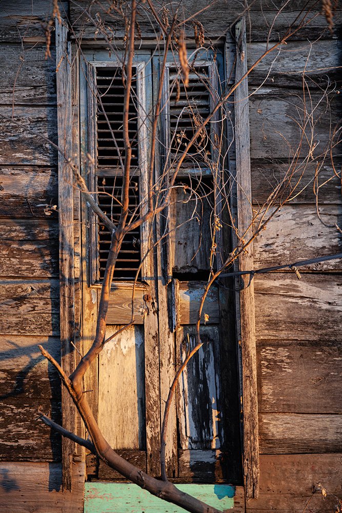 _MG_6270.jpg