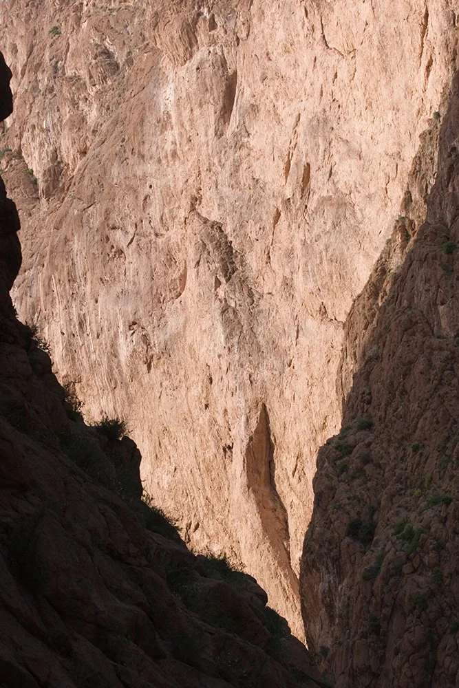 _MG_4494.jpg
