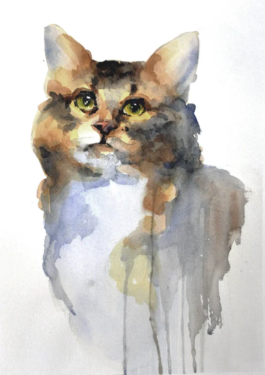 Tabby