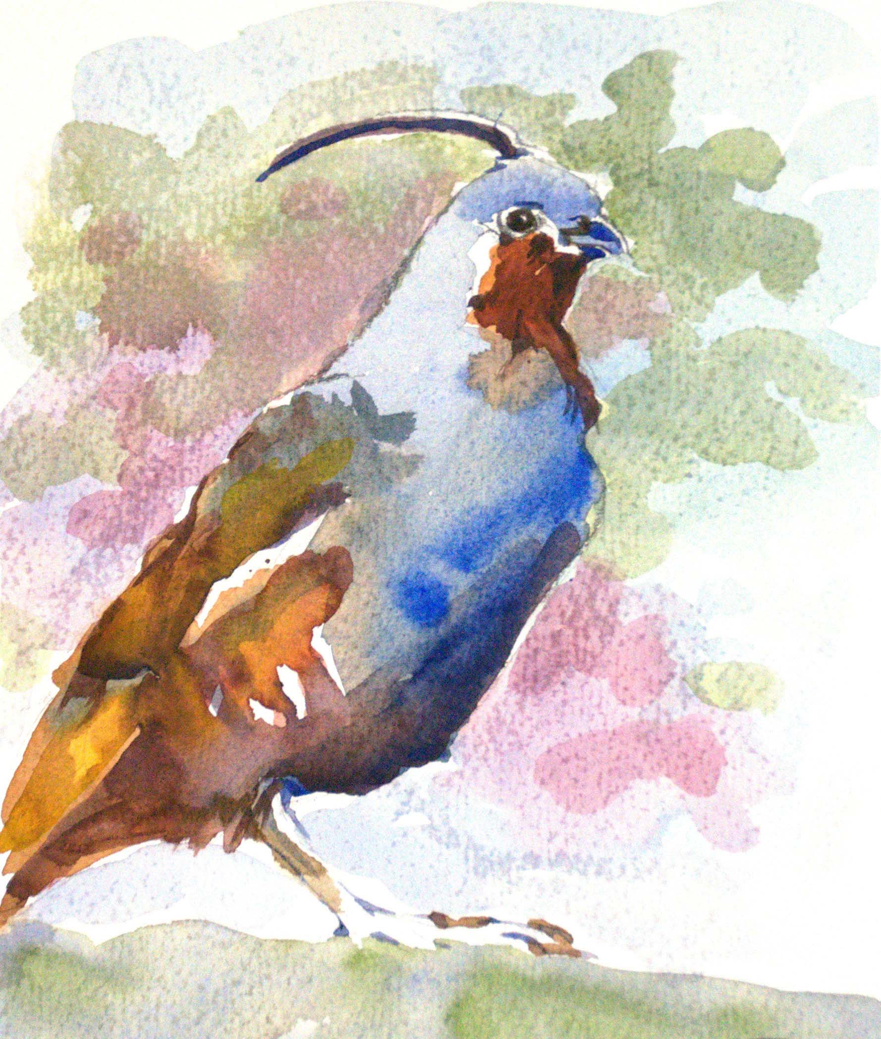 Quail