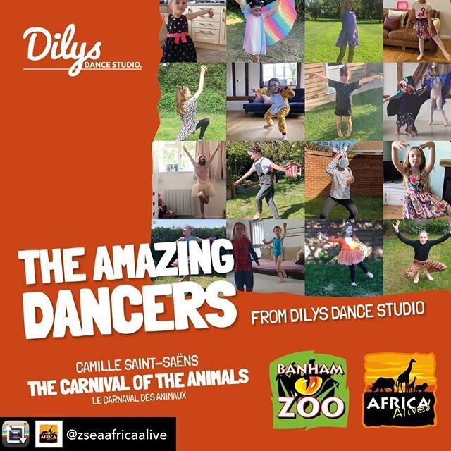 Our dancers have been busy with this Lockdown project! Thank you Africa Alive and Banham Zoo for choosing DDS to help raise funds for your amazing animals!