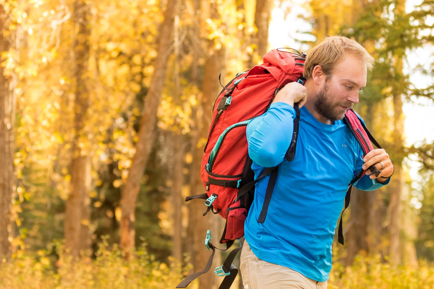 michael_destefano_jackson_hole_wyoming_camping_hiking_climbing.jpg