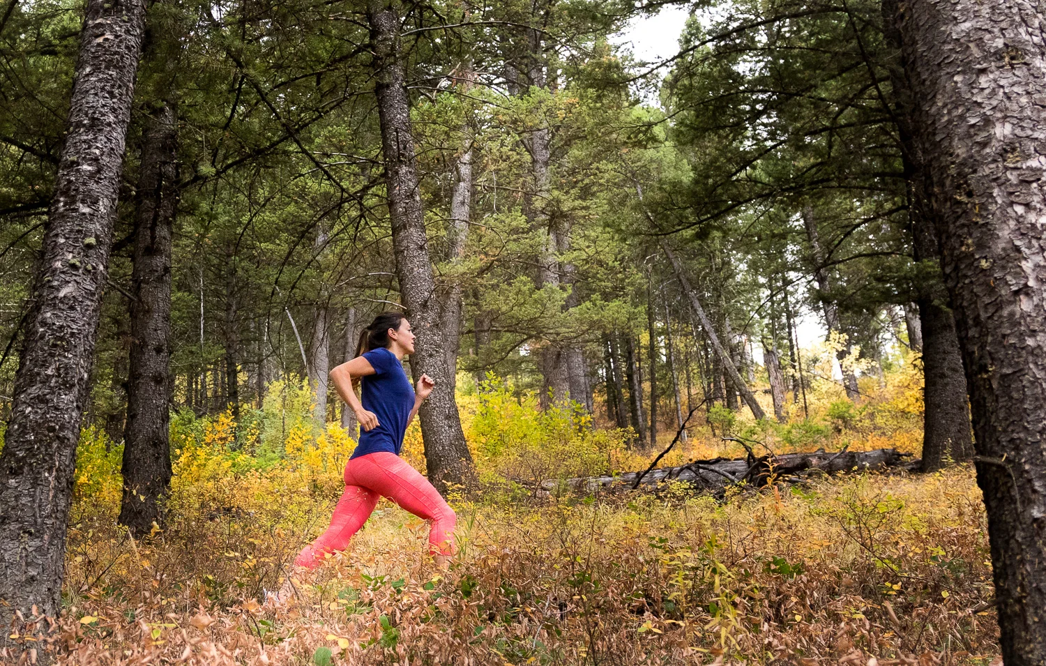 michael_destefano_jogger_running_trail_runner_adidas.jpg