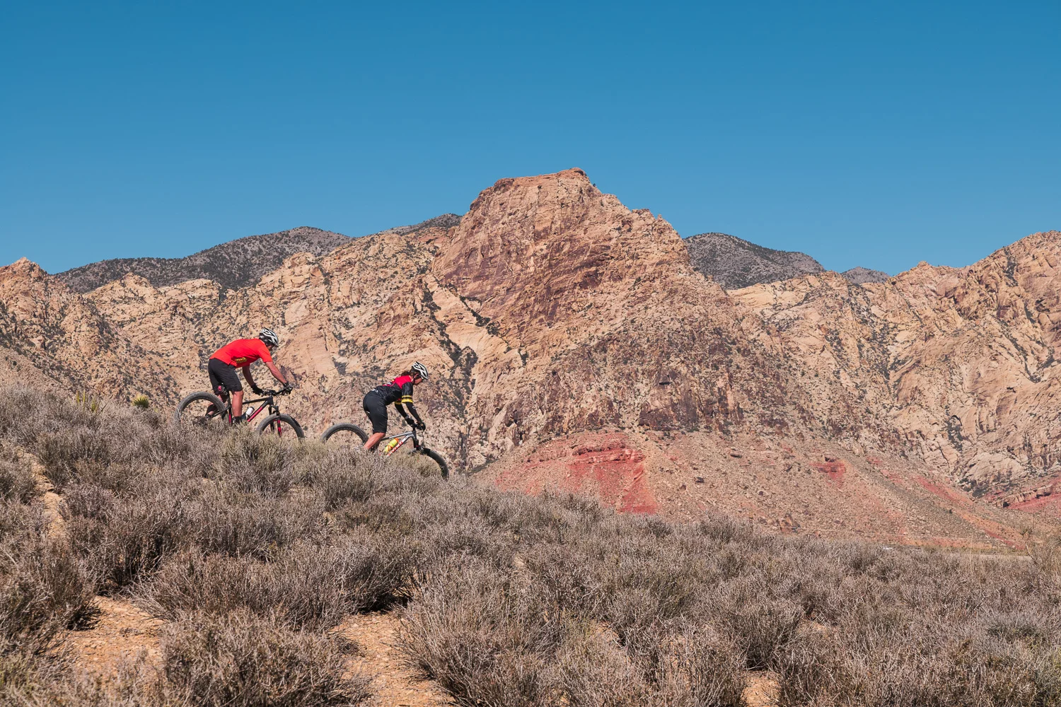 Mountain_Biking_Adventure_Travel_Photographer_MikeDestefano_Copyright_2018-1010439.jpg