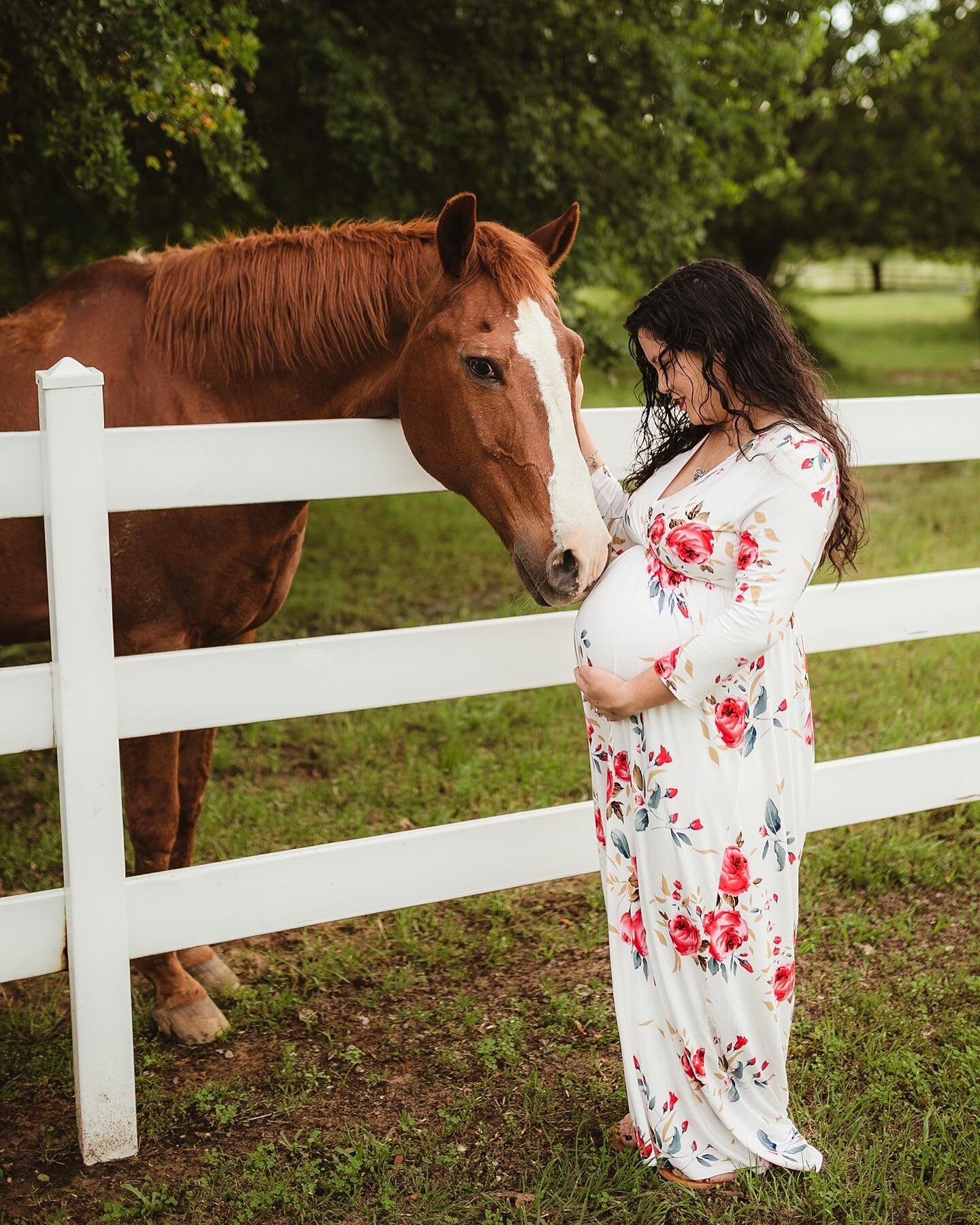 we had a very sweet and curious photobomber at ary and stephen&rsquo;s maternity session!