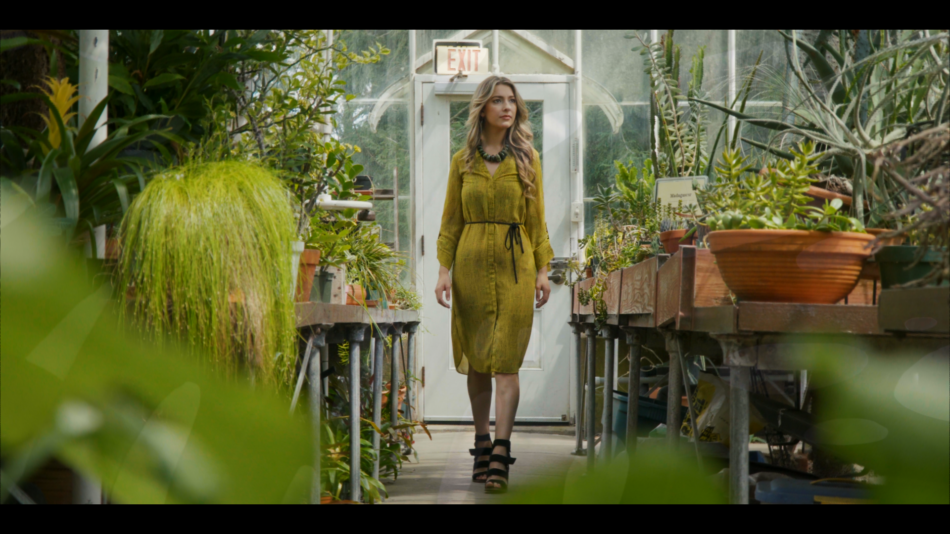 Greenhouse_1.2.2.png