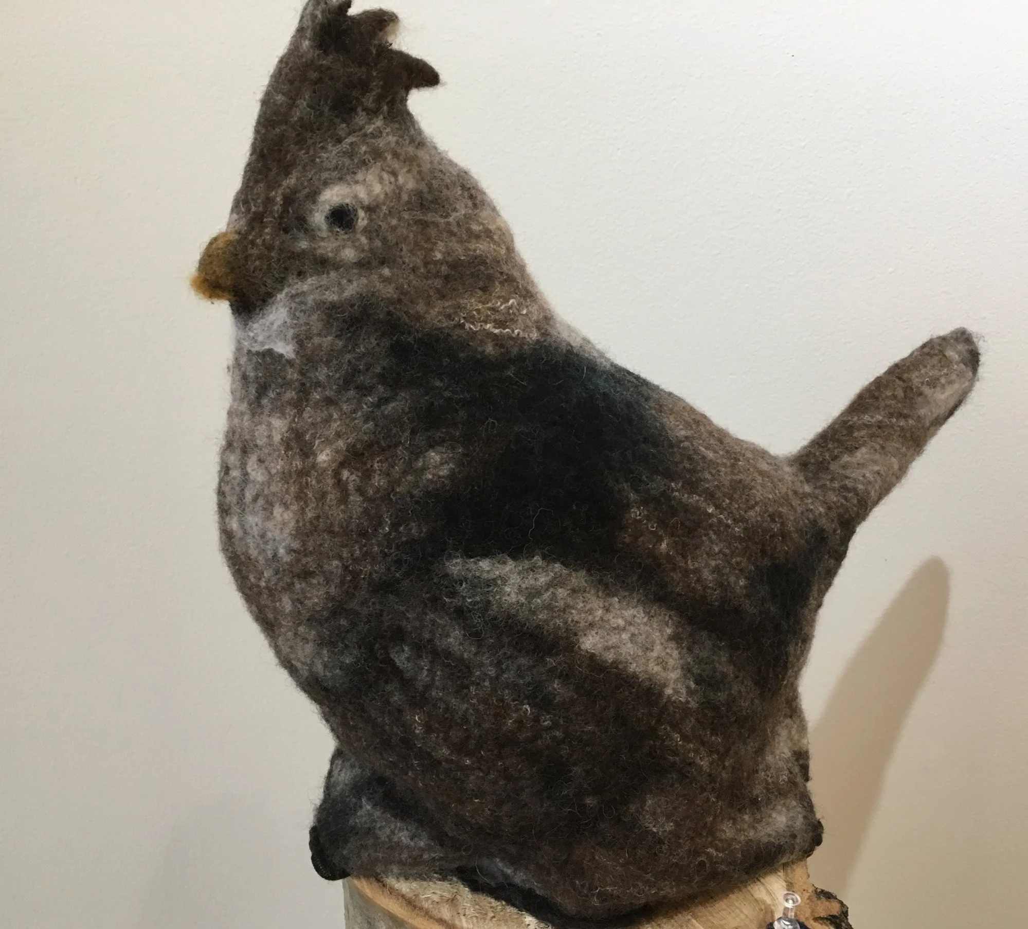 Grouse tea cozy