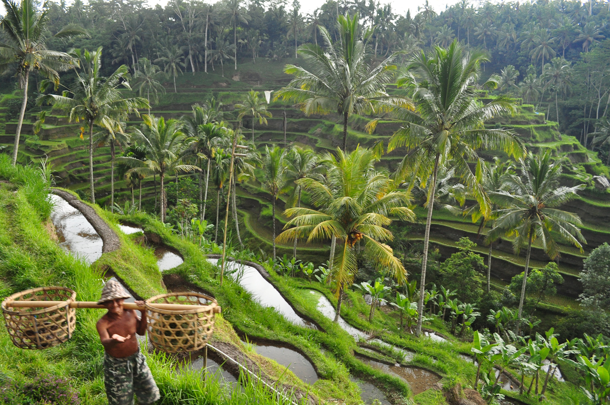 Southeast Asia 2010 680.jpg