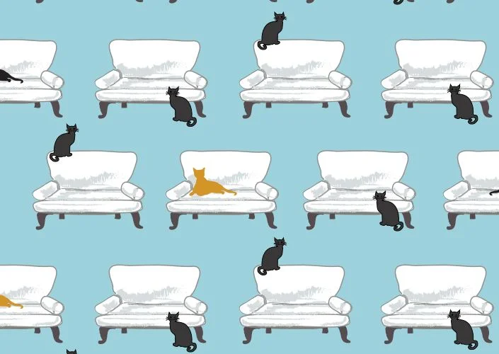 cat on couch snap.JPG