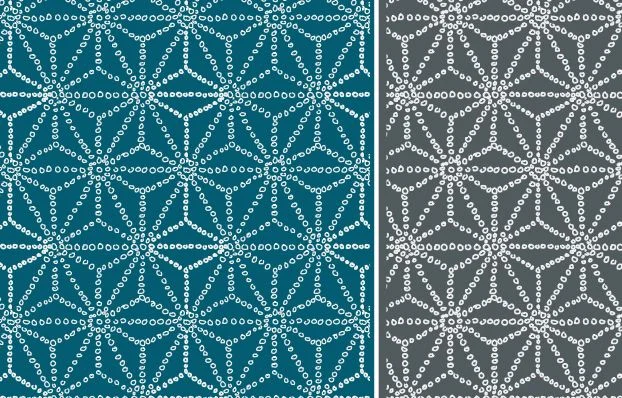 HaSaNoHa Star snap.JPG